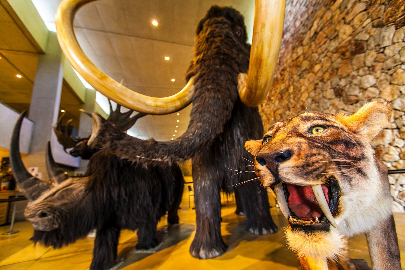 Musée de Préhistoire des Gorges du Verdon à Quinson