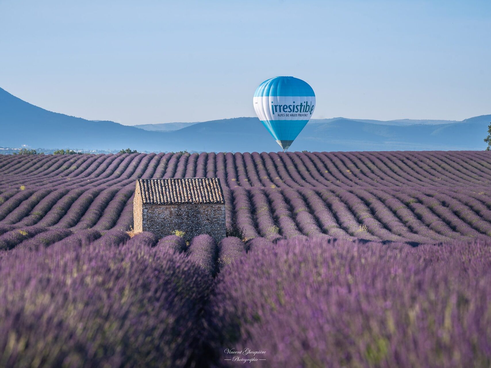 Montgolfière sur le plateau de Valensole