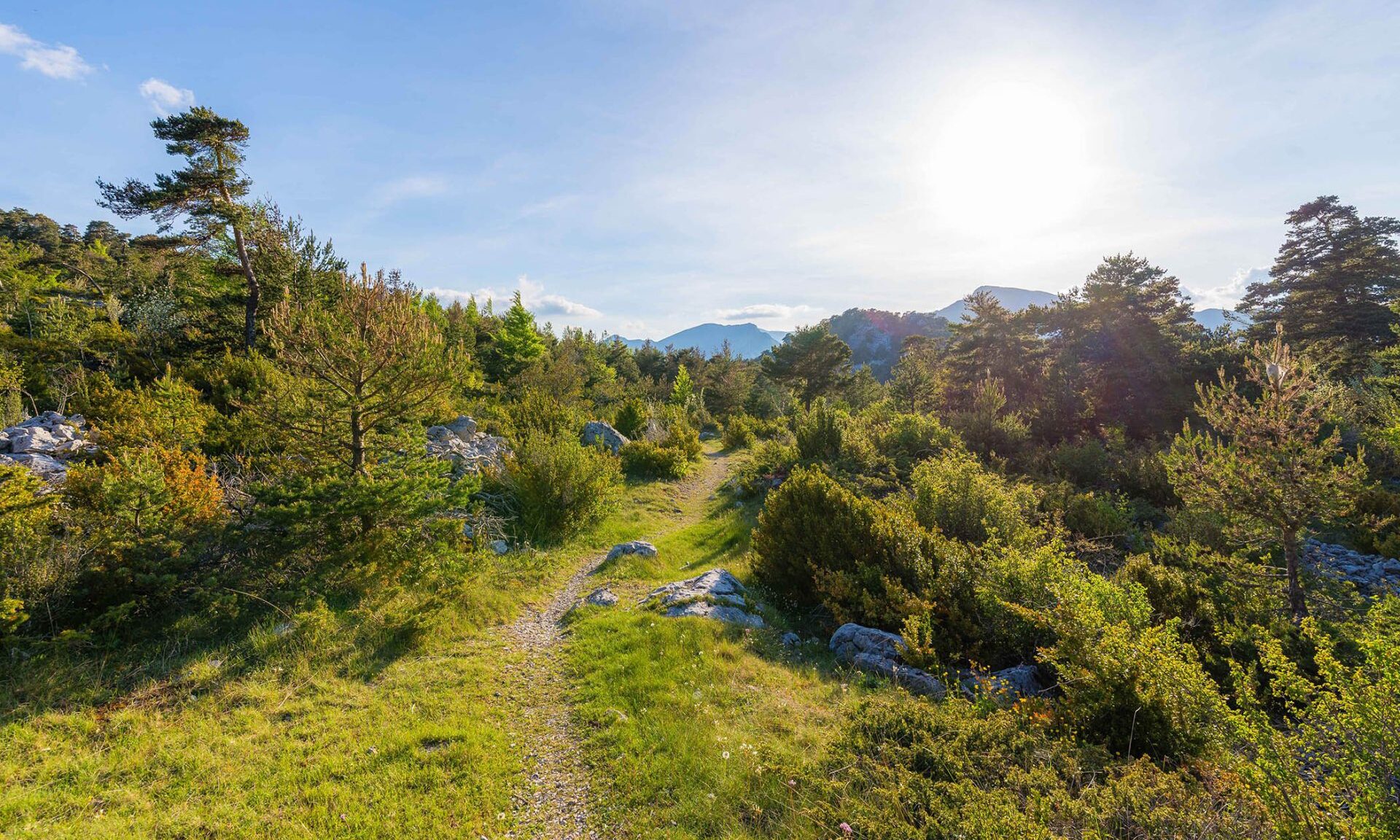 Paysage de nature traversé lors des randonnées sur la Route Napoléone