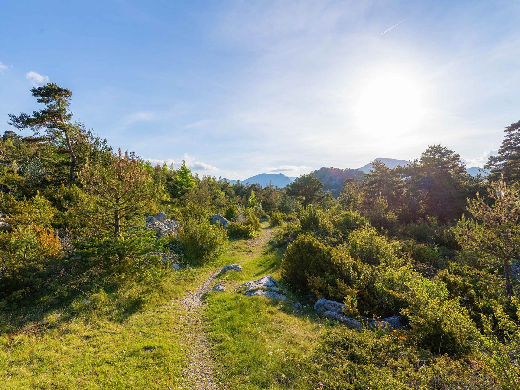 Paysage de nature traversé lors des randonnées sur la Route Napoléone