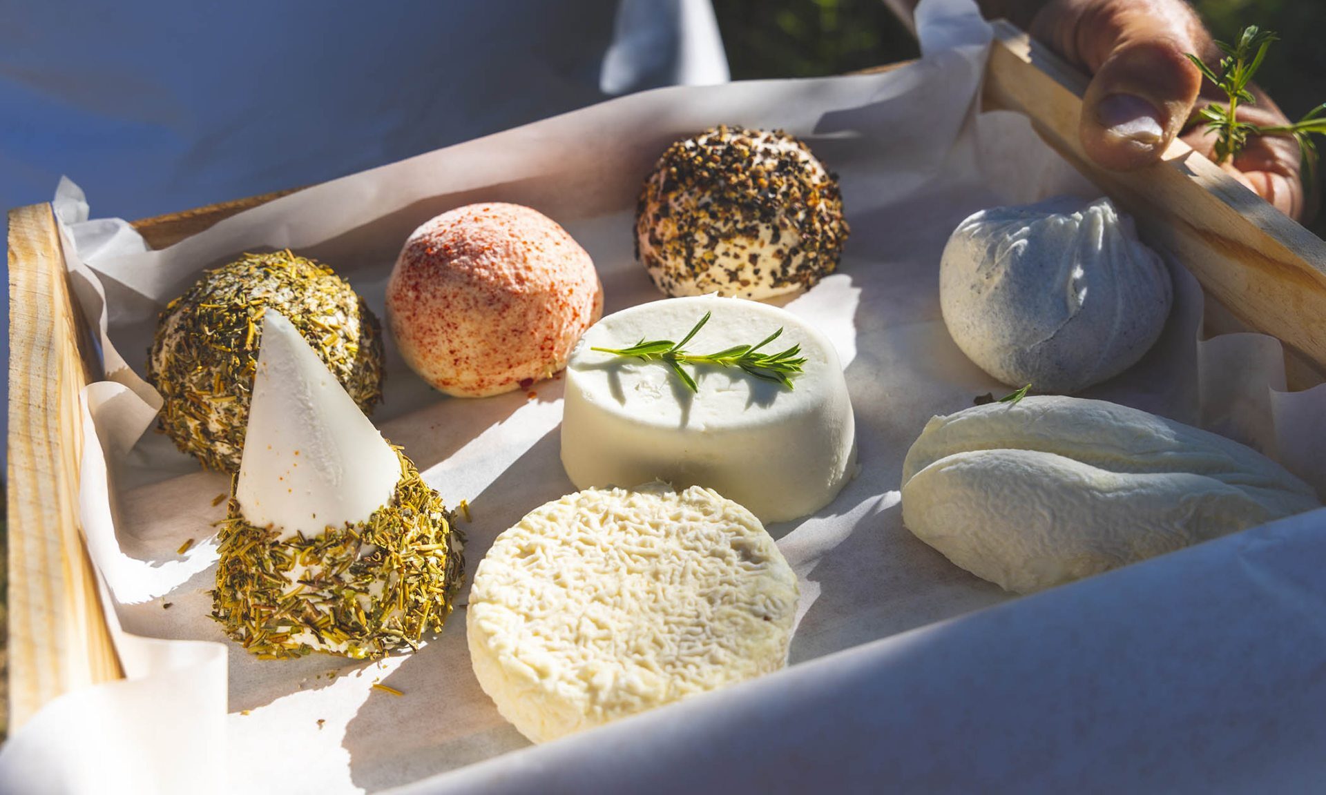 Plateau de fromages du terroir