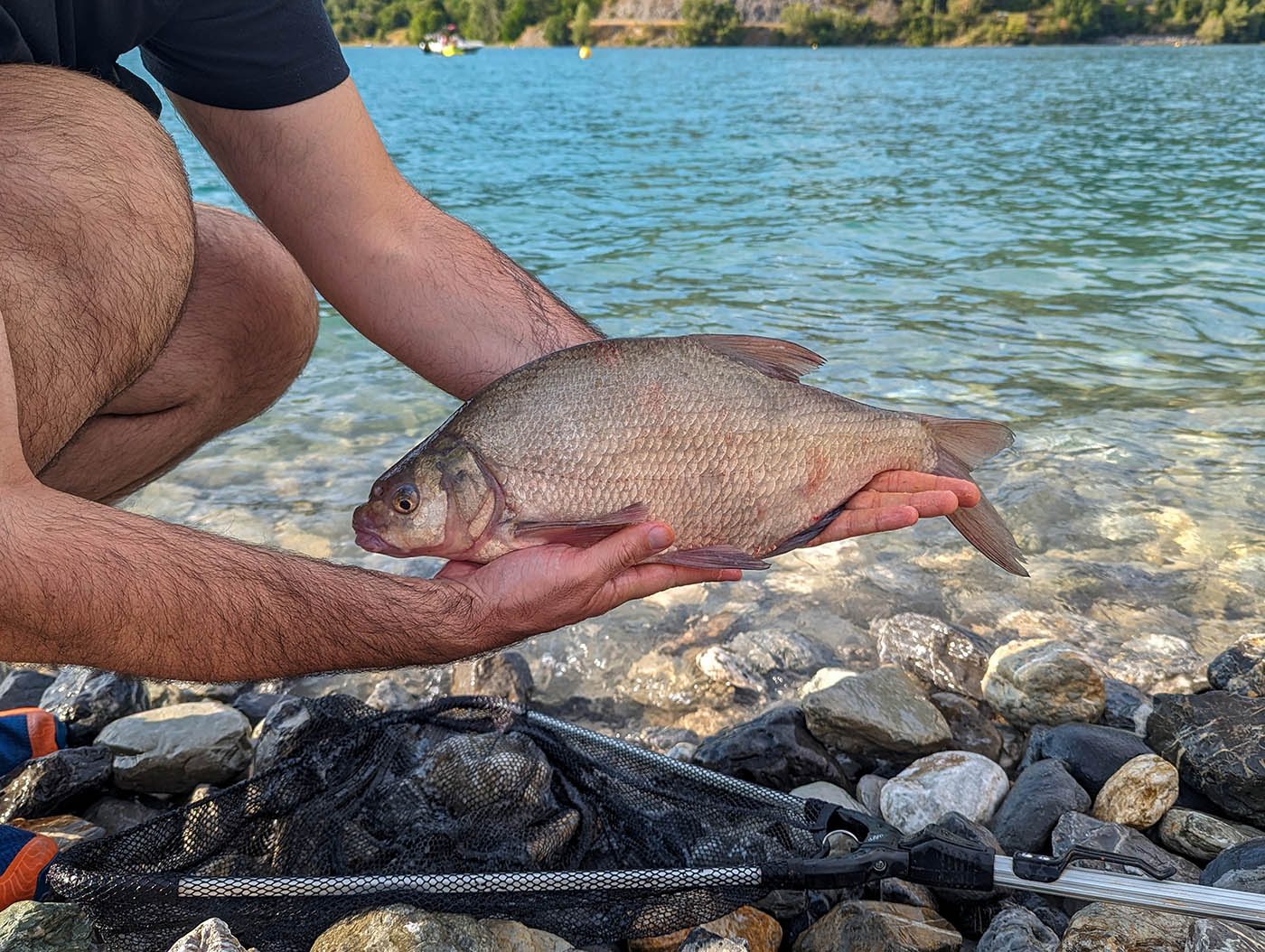Pêche poisson brême au lac de Serre-Ponçon