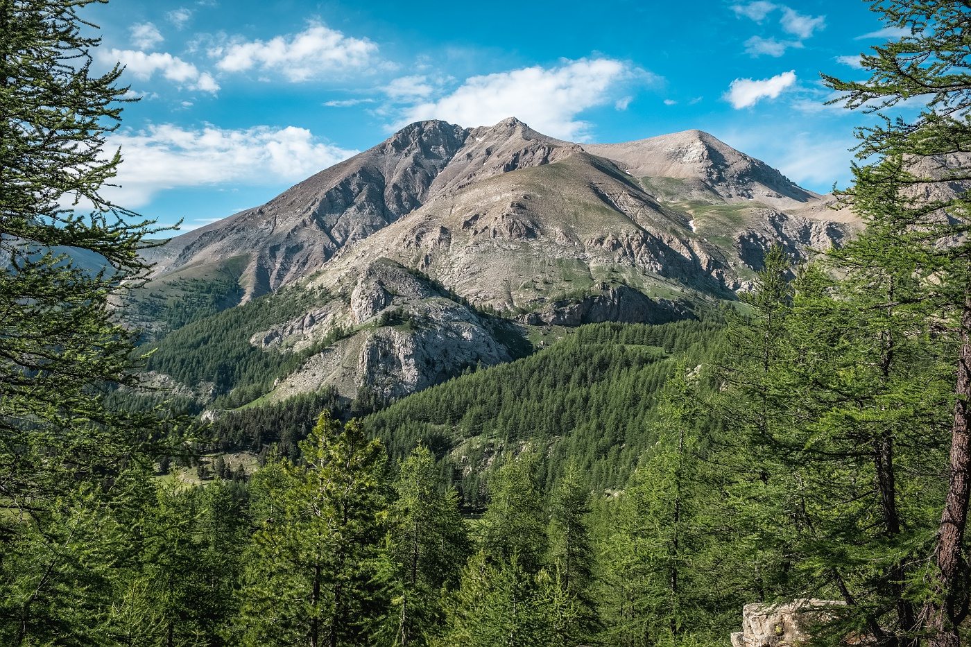 Randonnée dans le Val d'Allos, le Mont Pelat