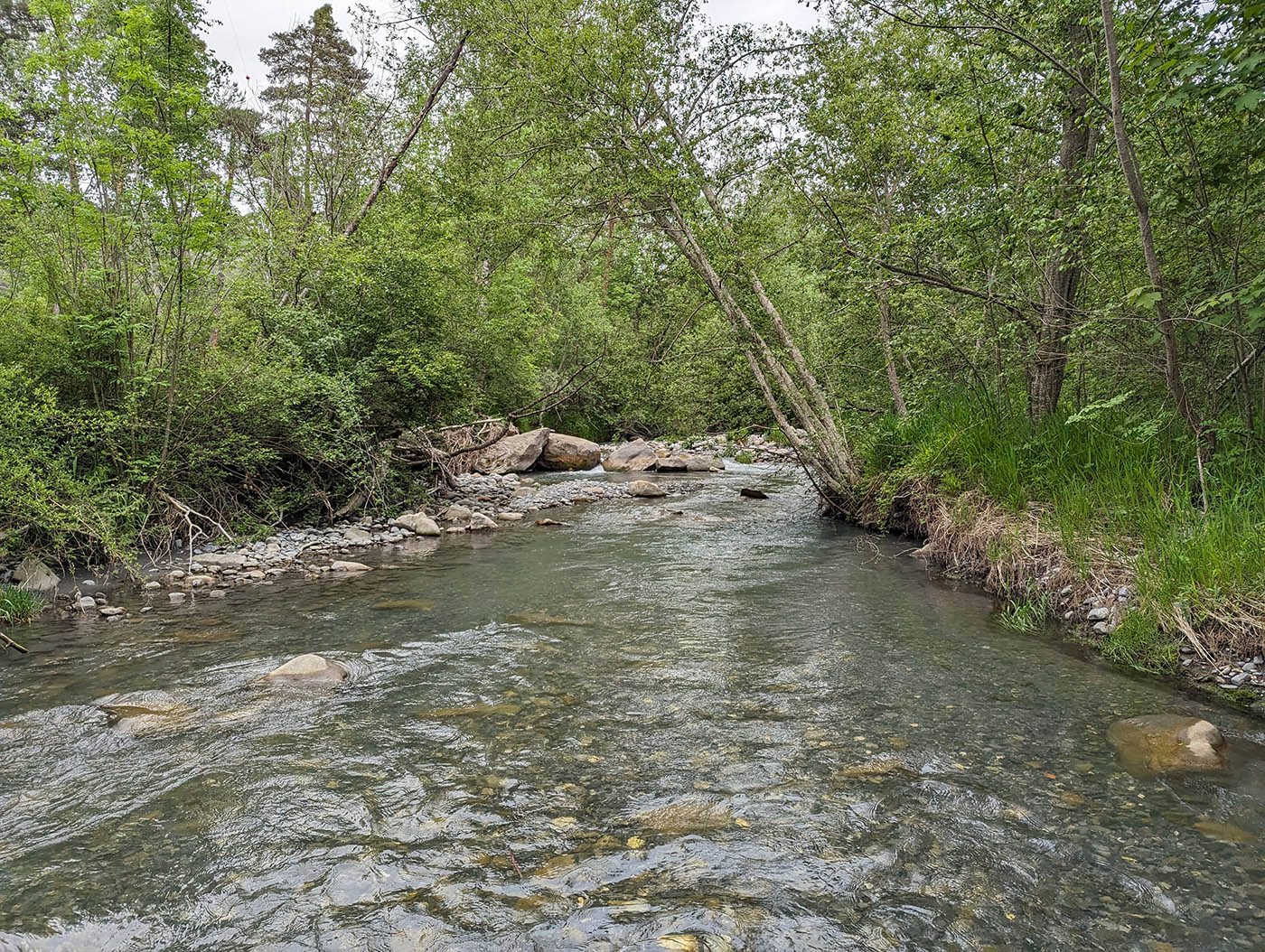Rivière la Blanche pour pratiquer la pêche