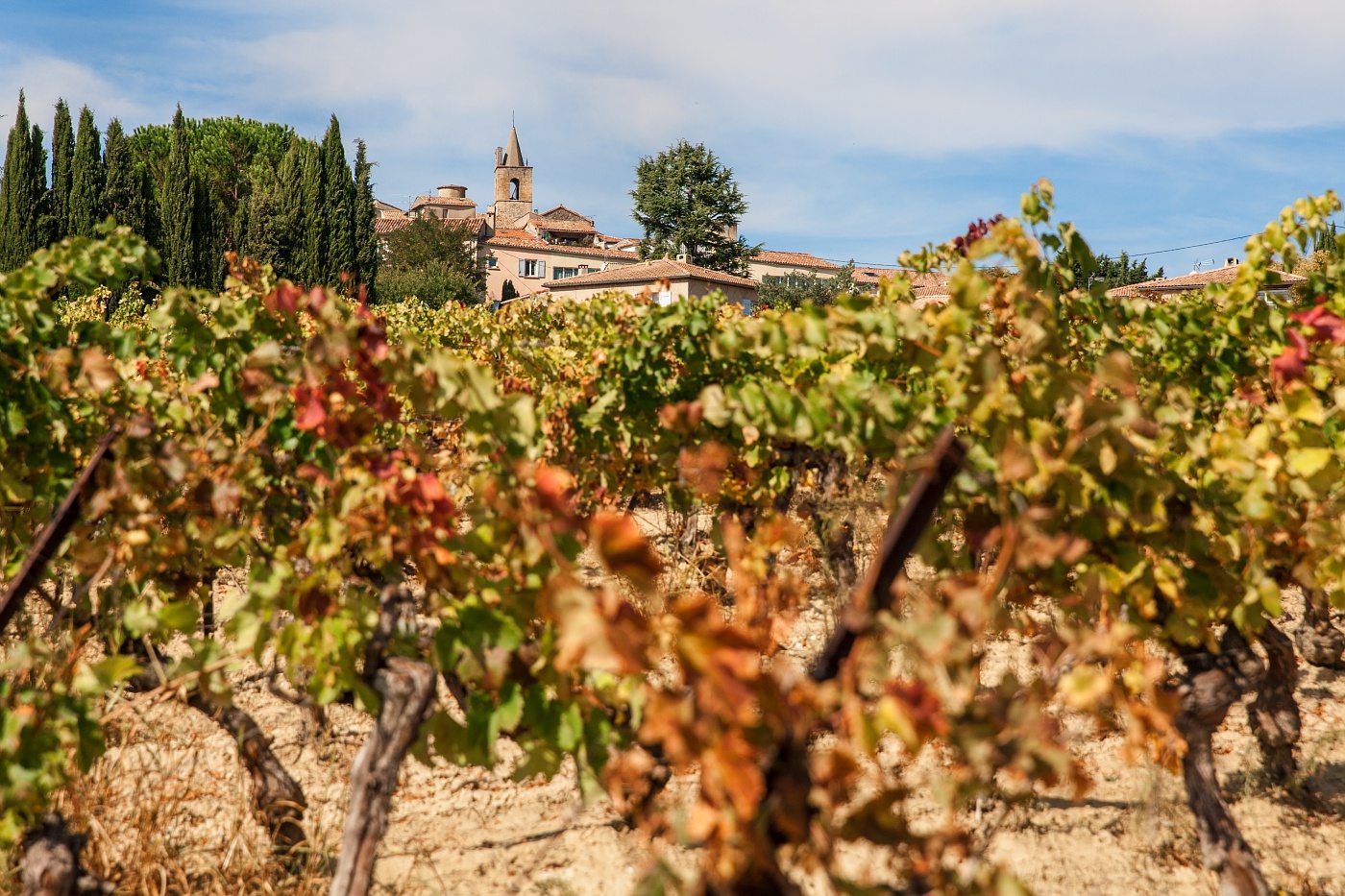 Village de Pierrevert et ses vignobles