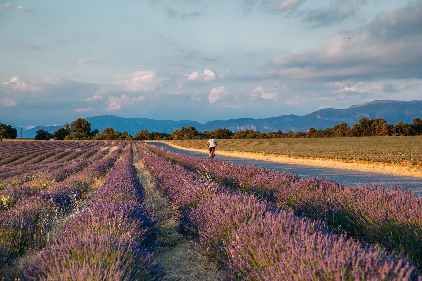 VTTAE sur le plateau de Valensole