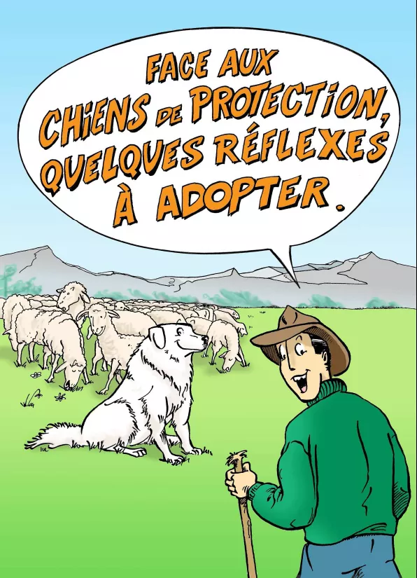Brochure BD Comment se comporter face aux chiens de protection ?